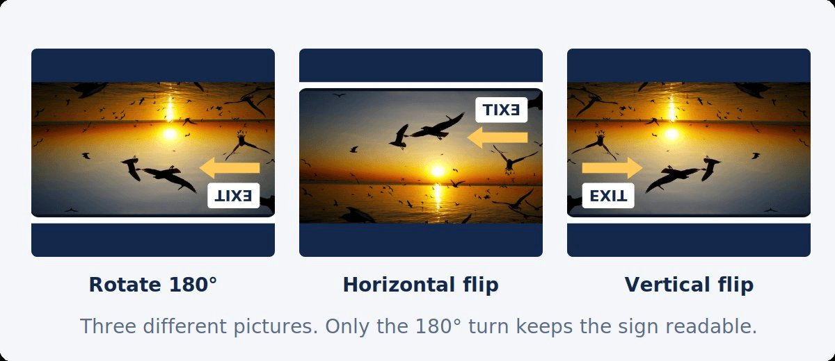 The same frame rotated 180 degrees, flipped horizontally, and flipped vertically, giving three different pictures