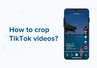 TikTok Cropper