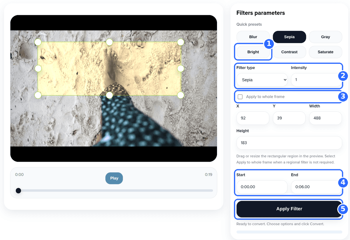 Add Filter to Video tool with five numbered highlights: the Bright preset, the Filter type and Intensity fields, the Apply to whole frame checkbox, the Start and End fields and the Apply Filter button