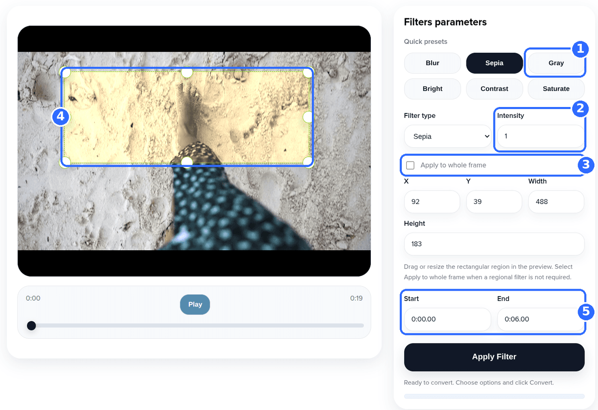 Add Filter to Video tool with five numbered highlights: the Gray preset, the Intensity field, the Apply to whole frame checkbox, the region box in the preview and the Start and End fields