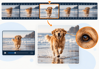 How to Get a High-Quality Still Image from a Video