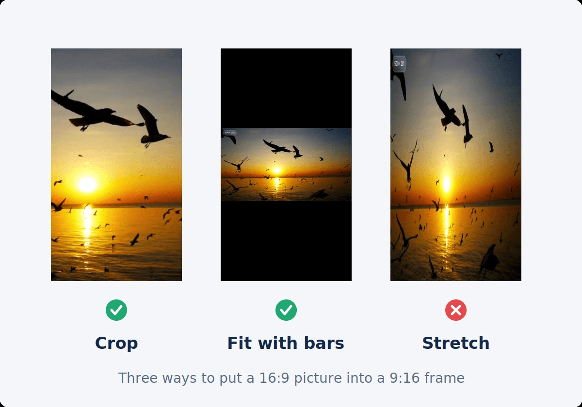 A horizontal sunset frame placed into a vertical frame three ways: cropped to a central slice, fitted whole with black above and below, and stretched so the birds are tall and thin