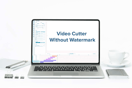 Video Cutter Without Watermark