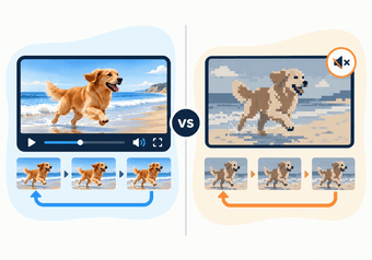 Video Loop vs GIF: Which Should You Use?
